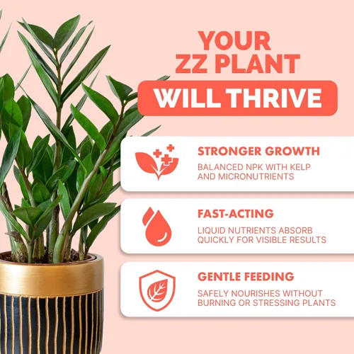Miniatura 2 de ZZ Fertilizante para plantas – Alimento líquido para plantas para hojas verdes brillantes, raíces más fuertes y un nuevo crecimiento saludable, 8