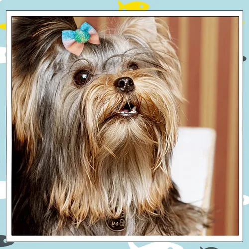 Miniatura 7 de 24 unids/12 pares de lazos para el pelo de perro con banda de goma, patrón de animales marinos de verano para niña, macho, hembra, pequeño, mediano