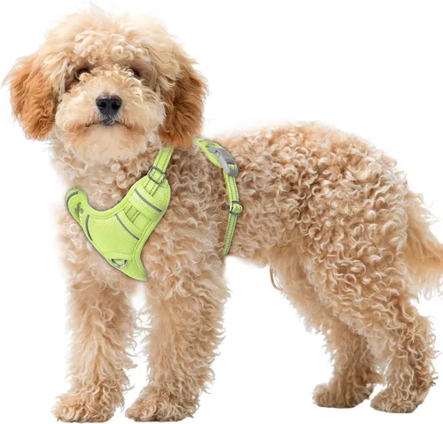 Miniatura 40 de BARKBAY Arnés para Perro Sin Tirones Talla Grande Arnés Reflectante para Perro con Clip Frontal y Asa de Control Fácil para Caminar Entrenar Correr