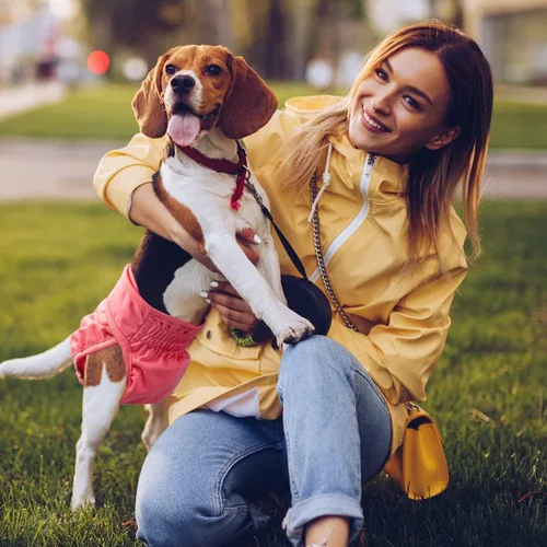Miniatura 6 de Pet Soft Pañales lavables para hembra (paquete de 3) pañales para perras, cómodos pañales reutilizables para perritos en calor de época (fuerte, XS)