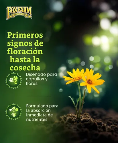 Miniatura 4 de FoxFarm Fertilizer Soil Trio Liquid Nutrient: Tiger Bloom, Grow Big, Big Bloom - Botellas de cuarto de galón (paquete de 3-32 onzas)