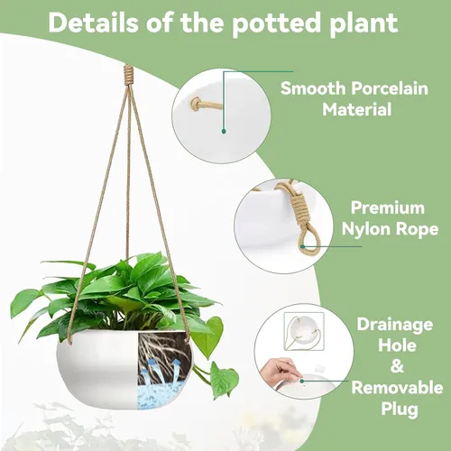 Miniatura 4 de Macetas colgantes de cerámica para plantas de interior y exterior, maceta moderna de 8 pulgadas, cesta redonda de porcelana con soporte para plantas