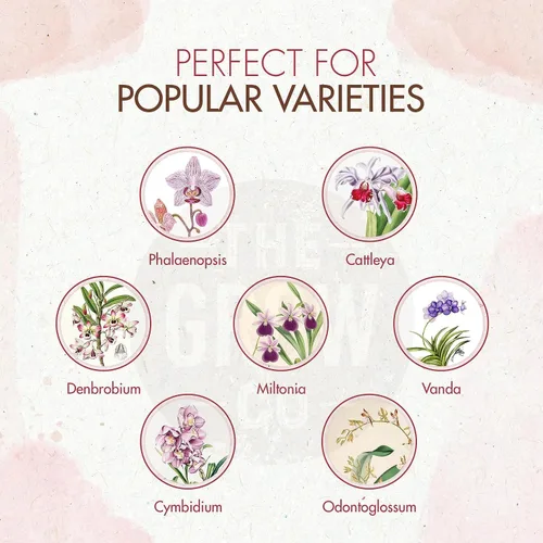 Miniatura 2 de Alimento para plantas de orquídeas (5 oz, más de 50 aplicaciones) – Gránulos de fertilizante estimulante de floración para orquídeas en macetas