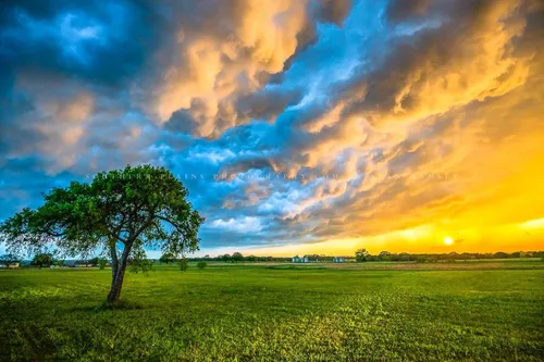 Miniatura 7 de Sky Photography Print (Not Framed) Picture of Colorful Storm Clouds Over Lone Tree at Sunset on Stormy Evening in Texas Country Wall Art Nature