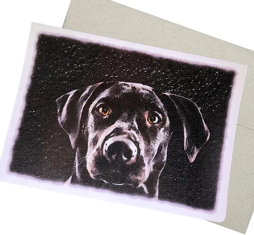 Groomers Margins Tarjeta de felicitación de laboratorio negra, tarjeta de cumpleaños de laboratorio negro para hombres (5 x 7 pulgadas, 1 tarjeta,