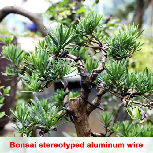 Miniatura 3 de Queenbox Alambres de entrenamiento de árbol de 32.8 ft de longitud de 0.059 in, rollo de alambre de entrenamiento de bonsái de aluminio anodizado