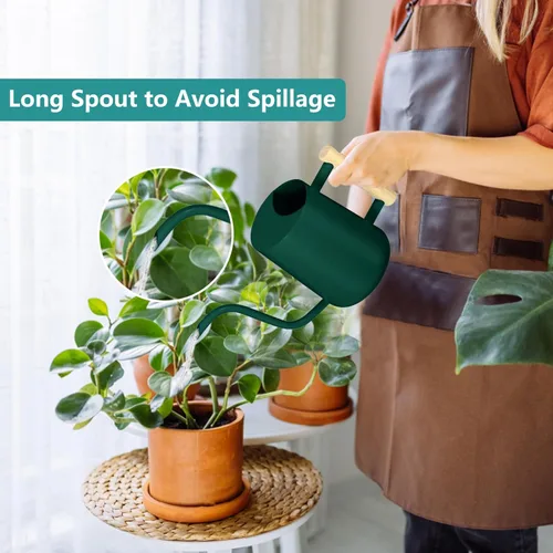 Miniatura 2 de Regadera para plantas de interior, 35 onzas, pequeña regadera de metal de acero inoxidable para interiores, moderna maceta decorativa con boquilla