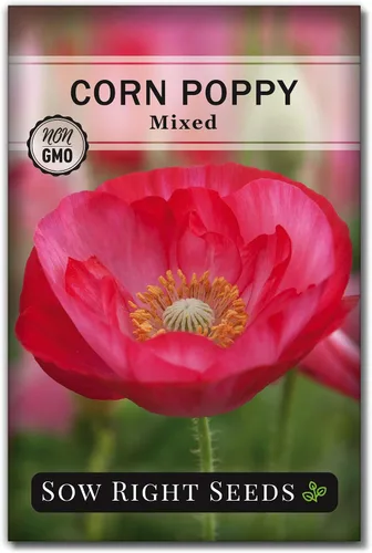 Sow Right Seeds - Semillas mixtas de amapola de maíz para plantar - Paquete de reliquia sin OMG con instrucciones para cultivar un jardín de flores