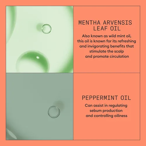 Miniatura 7 de Nioxin System 4 - Acondicionador para cabello teñido, seco y dañado con adelgazamiento progresado, mantiene un color vibrante, nutre y aumenta