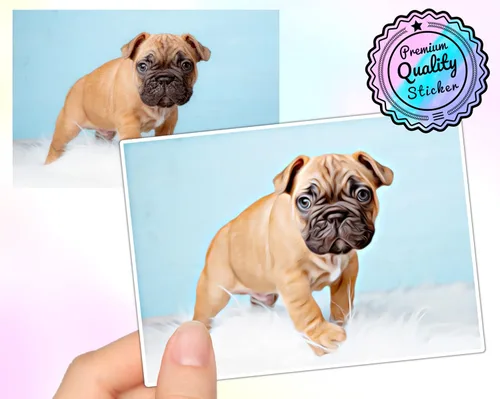 Miniatura 3 de Adhesivo personalizado – Retrato de dibujos animados de mascotas Personalizada – Calcomanía de imagen Impermeable Guarda tu calcomanía de foto