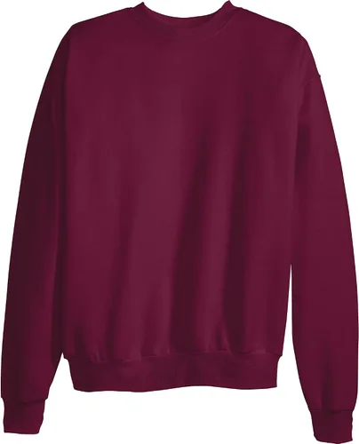 Miniatura 4 de Hanes Sudadera EcoSmart con capucha para hombre, de forro polar, de peso medio, sudadera con capucha para hombre