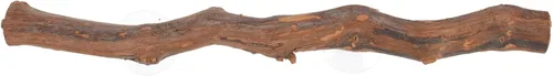 Soporte de madera de uva dragón barbudo juguete succión árbol rama lagarto suministros decoración terrario