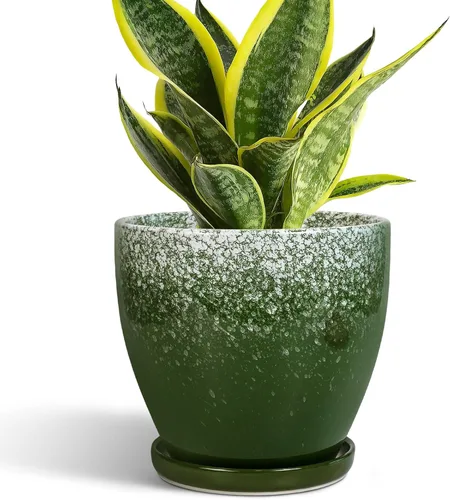 Miniatura 31 de Maceta para Plantas de 6.8 Pulgadas - Maceta de Cerámica con Orificio de Drenaje y Platillo, Maceta Redonda Moderna para Flores, Macetas