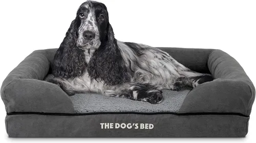 Miniatura 13 de The Dog's Bed - Cama ortopédica de espuma viscoelástica para perros medianos, colchón de soporte de alta densidad, entrada frontal baja, funda negro