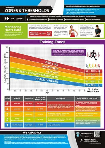 Miniatura 12 de Póster de gimnasio para grupos musculares y ejercicios, laminado, EXTRAGRANDE 33" x 23.5", tabla de pared de gimnasio y fitness en casa, incluye