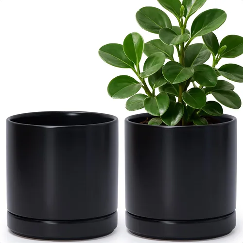 Miniatura 38 de D'vine Dev - Juego de 2 macetas de plantas de 3.5 pulgadas, maceta de cerámica para plantas con agujero de drenaje y platillo, negra, 94-V-A-2