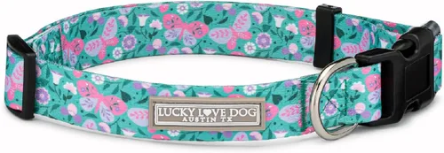 Miniatura 50 de Lucky Love Dog - Juego de collar y correa, diseño Ladybird Combo de collar de mariquita/correa