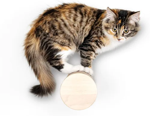 Miniatura 15 de Ascentials - Grand Suite Cat Scratcher Playground - Estructura de juego de torre alta para gatos, áreas de rascado de sisal, fieltro gris, chapa
