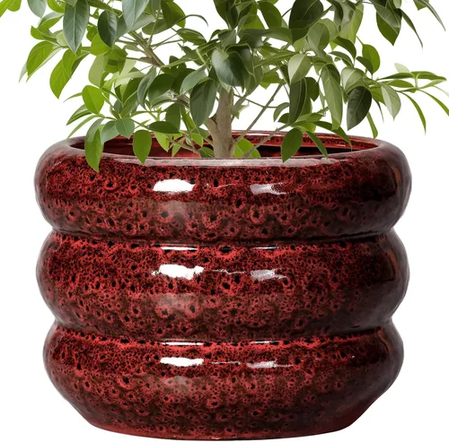 Miniatura 33 de Maceta de cerámica SQOWL para plantas de 8 pulgadas - Maceta de interior con orificio de drenaje para plantas de exterior, maceta floral moderna