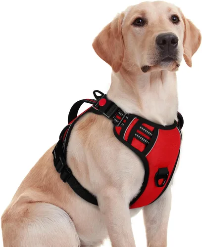 Miniatura 16 de rabbitgoo Arnés para perro de tamaño pequeño, arnés para mascotas sin tirones con mango acolchado suave, chaleco reflectante ajustable con 3