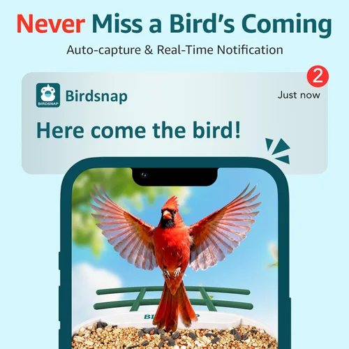 Miniatura 4 de birdsnap® TUC - Comedero para pájaros con cámara 2K HD en vivo con tarjeta de 32 GB, detección y notificación automática de inteligencia artificial