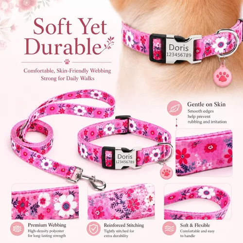 Miniatura 5 de Juego de collares de perro personalizados personalizados con correa de aire y soporte para etiqueta de aire con placa de identificación grabada