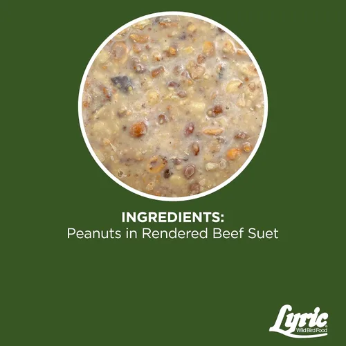 Miniatura 4 de Lyric Peanut Pieces - Pasteles de sebo de alta energía para aves silvestres, 12 onzas (paquete de 12)