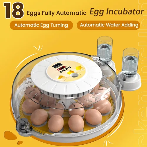 Miniatura 2 de 18 incubadoras de huevos para incubar huevos, volteador automático de huevos y probador de velas de huevos, vista de 360 grados, incubadora