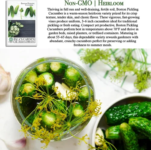 Miniatura 3 de Boston Pickling - Semillas de pepino para plantar, más de 100 semillas tradicionales por paquete, semillas de jardín de Isla