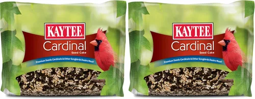 Kaytee Cardinal Seed Cake, alimento para pájaros silvestres, 1.85 libras (paquete de 2)