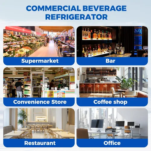 Miniatura 9 de Refrigeradores comerciales Bluelinecool 9 pies cúbicos verticales para exhibición, enfriador de bebidas con puerta de vidrio y luz LED, estantes