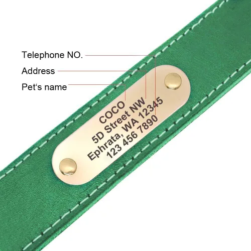 Miniatura 5 de Didog Collares de perro de cuero genuino con placa de identificación grabada, collar de perro de cuero suave personalizado con etiqueta de Verde