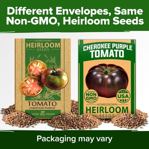 Miniatura 9 de HOME GROWN Cherokee Purple - Semillas de tomate púrpura más de 106 semillas tradicionales no transgénicas para plantar, alta germinación