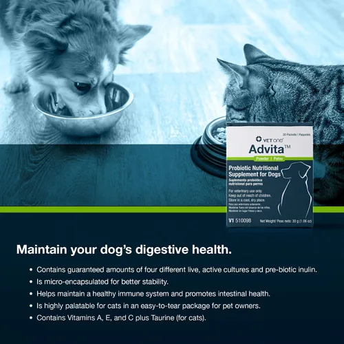 Miniatura 6 de Vet One Polvo probiótico Advita™ para perros, un suplemento nutricional diario para mantener el sistema inmunológico, el apetito y la digestión