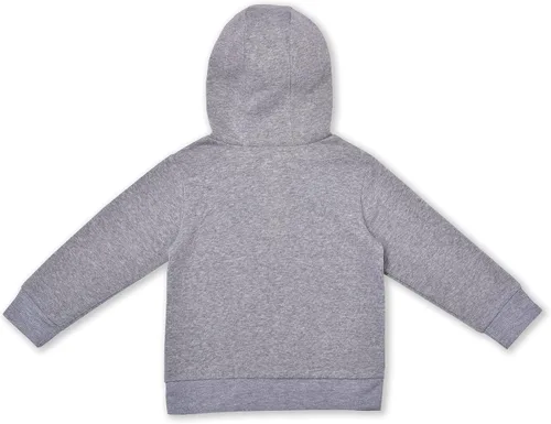 Miniatura 2 de Warner Bros. Harry Potter Hogwarts - Sudadera con capucha para niños pequeños y niños pequeños, color gris