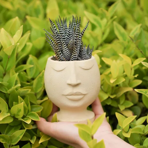Miniatura 3 de Nicole Face Cement Flower Pot Mold Nordic Style Horcrete Mold Abstract Design Plant Flower Pot Molde de silicona SH0613