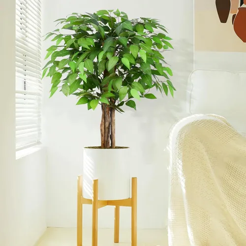 Miniatura 5 de Árboles artificiales de ficus de 3 pies con troncos naturales curvados, árbol exuberante de 36" de altura, árbol falso de ficus realista en verde