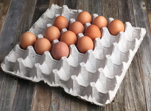 Miniatura 8 de MT Products Cartones planos de fibra de pulpa con capacidad para 30 huevos, caja de huevos para granja de pollos - Fabricado en los Estados Unidos