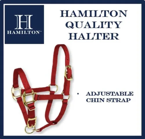 Miniatura 4 de Hamilton Quality Horse Halter, nailon de triple capa de 3/4", correa ajustable para la barbilla, poni o mini burro, 100-200 libras, negro