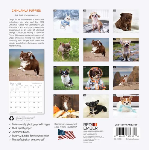 Miniatura 2 de RED EMBER Chihuahua Puppies 2025 Calendario de pared de 12 meses 12 x 24 pulgadas abierto Papel grueso y resistente Regalo Calendario 2025