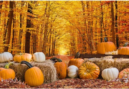 Miniatura 8 de Telón de fondo de bosque de otoño de 5 x 3 pies para fotografía, calabazas de otoño, hojas de arce, fondo para decoración de fiesta de cosecha
