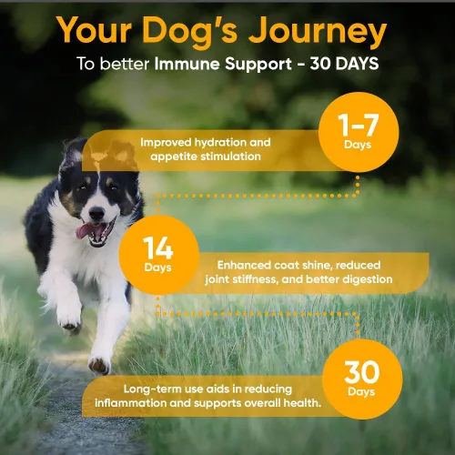 Miniatura 2 de iHeartDogs Caldo de huesos y colágeno para perros, caldo de huesos y hongos en polvo dorado para apoyo del sistema inmunológico, movilidad