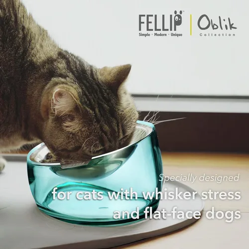 Miniatura 3 de Felli Oblik Cuencos Elevados para Comida de Gatos de Acero Inoxidable 304, Plato Plano Desmontable para Fatiga de Bigotes y Fácil Limpieza en Clásico