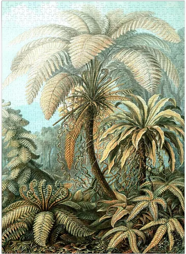 MyPuzzle Fern (Filicinae) - Formas de arte en la naturaleza, póster de arte vintage, Ernst Haeckel - Rompecabezas prémium de 1000 piezas para adultos