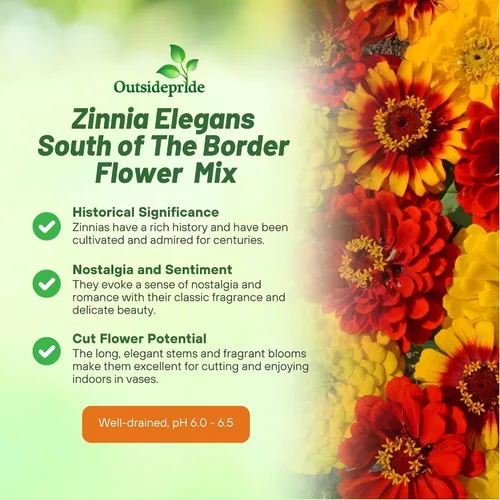 Miniatura 3 de Outsidepride - Zinnia Elegans, 1000 semillas anuales, South of The Border Flower Seed Mix, mezcla de semillas de flores para plantar