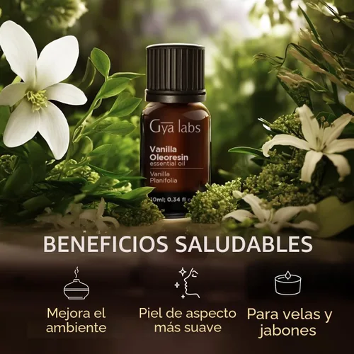 Miniatura 5 de Gya Labs - Aceite esencial de vainilla oleorresina para aliviar el estrés, relajación, sueño, aceite de vainilla francesa dulce para mayor