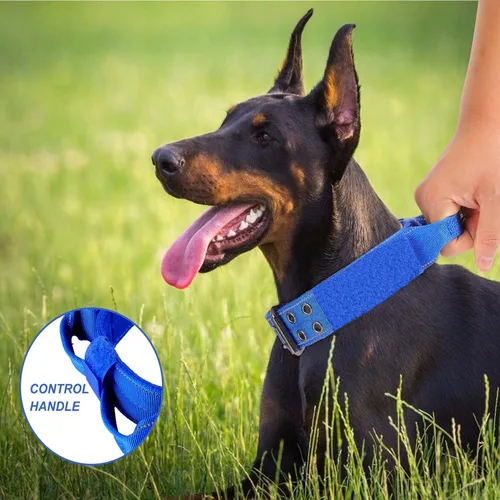Miniatura 6 de Collar reflectante para perro táctico resistente con mango de control y hebilla de metal para entrenamiento de perros (M, azul)