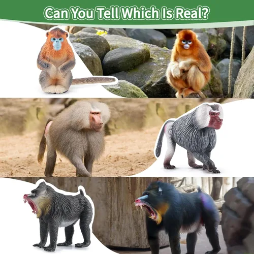 Miniatura 5 de Toymany 6 figuras de primates, juego de animales de mono de la selva de plástico, incluye mono, simio, chimpancé, gorila, juguetes para niños