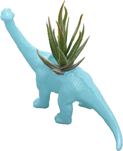 Miniatura 11 de Aislor Maceta suculenta con forma de dinosaurio con bandeja de drenaje, florero multiusos para bonsái, maceta creativa de cactus con orificio