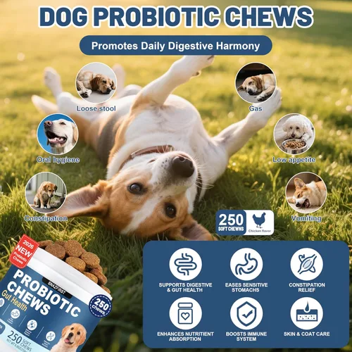 Miniatura 2 de Probióticos para Perros, Masticables Probióticos para Perros para la Salud Digestiva y la Salud Intestinal, Mejoran el Sistema Inmunológico, Alivio